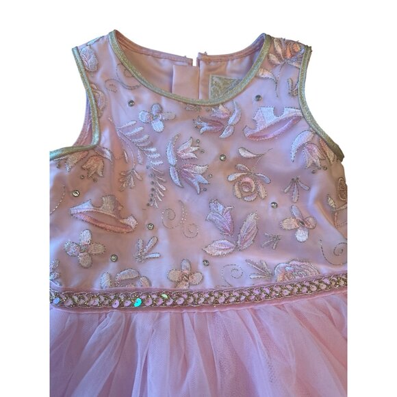 Disney Princess Aurora Dress Pink Embroidered Tulle With Ruffles Size 4 For Girl - Picture 2 of 6